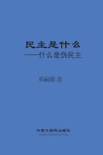 民主是什么