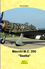 Macchi M.C. 200 