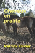 Chevaux en prairie