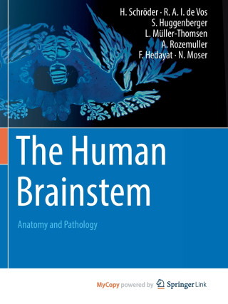The Human Brainstem