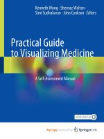 Practical Guide to Visualizing Medicine