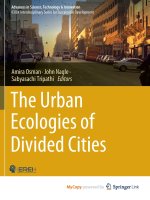 The Urban Ecologies of Divided Cities