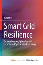 Smart Grid Resilience