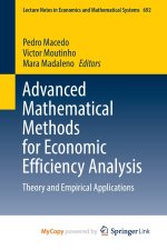 Advanced Mathematical Methods for Economic Efficiency Analysis
