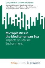 Microplastics in the Mediterranean Sea