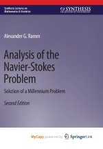 Analysis of the Navier-Stokes Problem