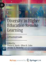 Diversity in Higher Education Remote Learning