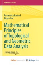 Mathematical Principles of Topological and Geometric Data Analysis
