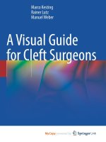 A Visual Guide for Cleft Surgeons