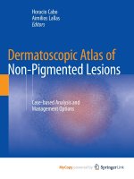Dermatoscopic Atlas of Non-Pigmented Lesions