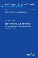 Bei Vollmond auf dem Dach