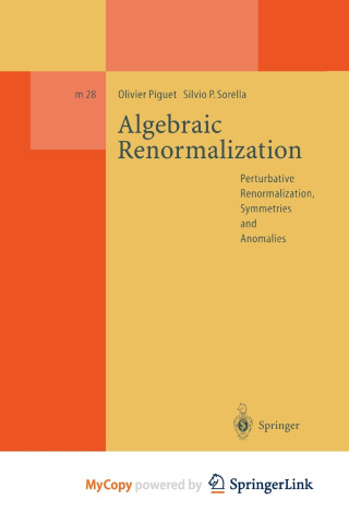 Algebraic Renormalization