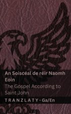 An Soiscéal de réir Naomh Eoin / The Gospel According to Saint John (An Bíobla / The Bible)
