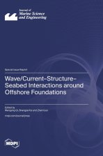Wave/Current-Structure-Seabed Interactions around Offshore Foundations