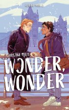 Wonder, Wonder