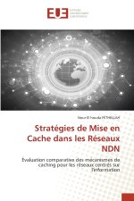 Stratégies de Mise en Cache dans les Réseaux NDN