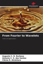 From Fourier to Wavelets