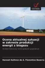 Ocena aktualnej sytuacji w zakresie produkcji energii z biogazu