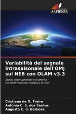 Variabilità del segnale intrasaisonale dell'OMJ sul NEB con OLAM v3.3