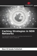 Caching Strategies in NDN Networks