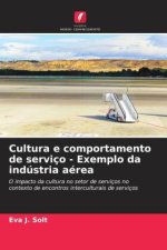 Cultura e comportamento de serviço - Exemplo da indústria aérea