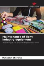 Maintenance of light industry equipment