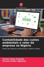 Contabilidade dos custos ambientais e valor da empresa na Nigéria