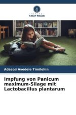 Impfung von Panicum maximum-Silage mit Lactobacillus plantarum