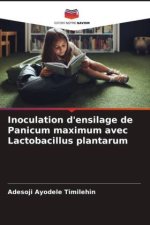 Inoculation d'ensilage de Panicum maximum avec Lactobacillus plantarum