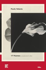 17 poemas y una canción de amor