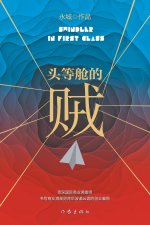 头等舱的贼 Thief In First Class