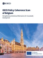 OECD Policy Coherence Scan of Belgium