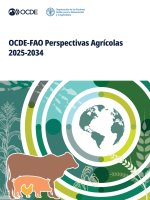 OCDE-FAO Perspectivas Agrícolas 2025-2034