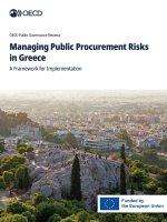 Managing Public Procurement Risks in Greece