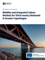 Mobility and Integrated Labour Markets for Third-country Nationals in Greater Copenhagen