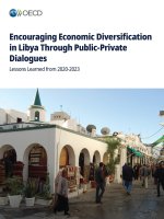 Encouraging Economic Diversification in Libya Through Public-Private Dialogues