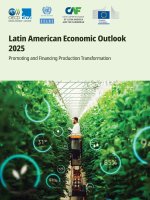 Latin American Economic Outlook 2025