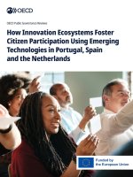 How Innovation Ecosystems Foster Citizen Participation Using Emerging Technologies in Portugal, Spain and the Netherlands