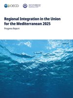 Regional Integration in the Union for the Mediterranean 2025