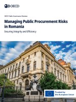 Managing Public Procurement Risks in Romania