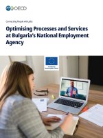 Optimising Processes and Services at Bulgaria's National Employment Agency