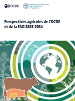 Perspectives agricoles de l'OCDE et de la FAO 2025-2034