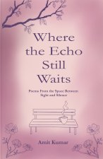 Where the Echo Still Waits