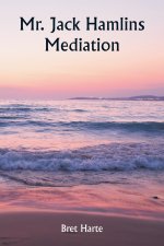 Mr. Jack Hamlins Mediation