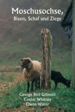 Moschusochse, Bison, Schaf und Ziege