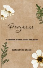 Pegasus