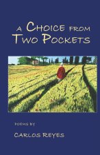A CHOICE FROM TWO POCKETS