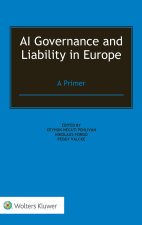 AI Governance and Liability in Europe
