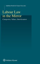Labour Law in the Mirror