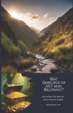 Wat gebeurde er met mijn beloning?